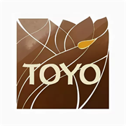 Генераторы TOYO